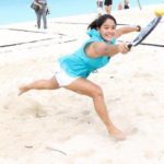 Viper Beach Tennis Net System– Paddle Version