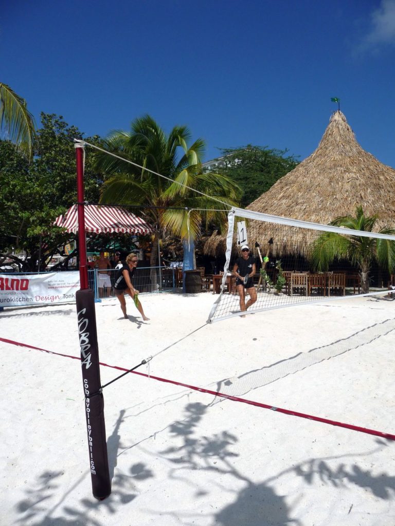 Cobra Beach Tennis Net System Paddle Version Volleyball Net Systems