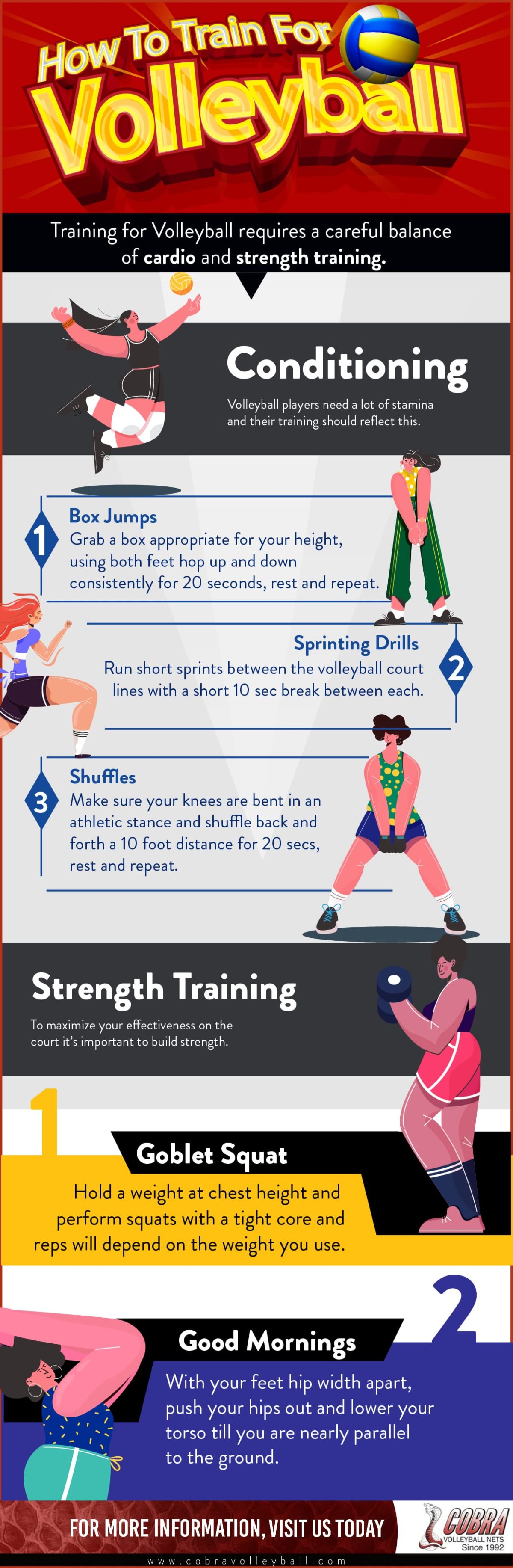 How to Train for Volleyball Cobra Net Systems