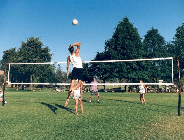A group of people playing volleyball on the grass.